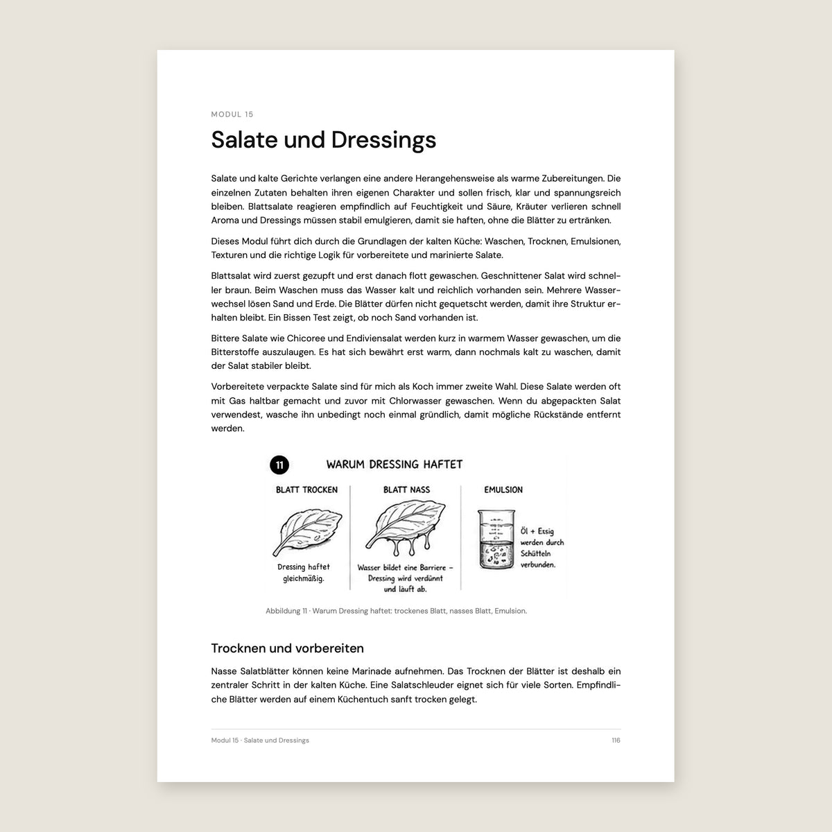Buchseite Modul Salate und Dressings mit Illustration Warum Dressing haftet