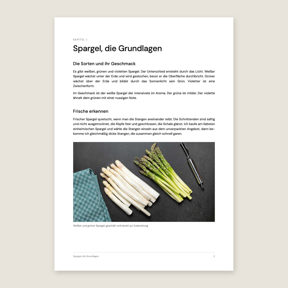 Heftseite Spargel, die Grundlagen: Sorten und Frische erkennen